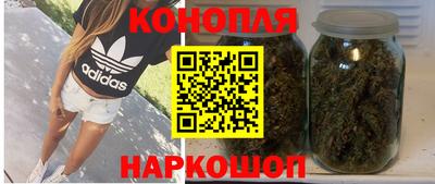 бошки Дубна