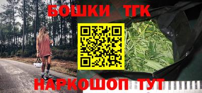 бошки Дубна