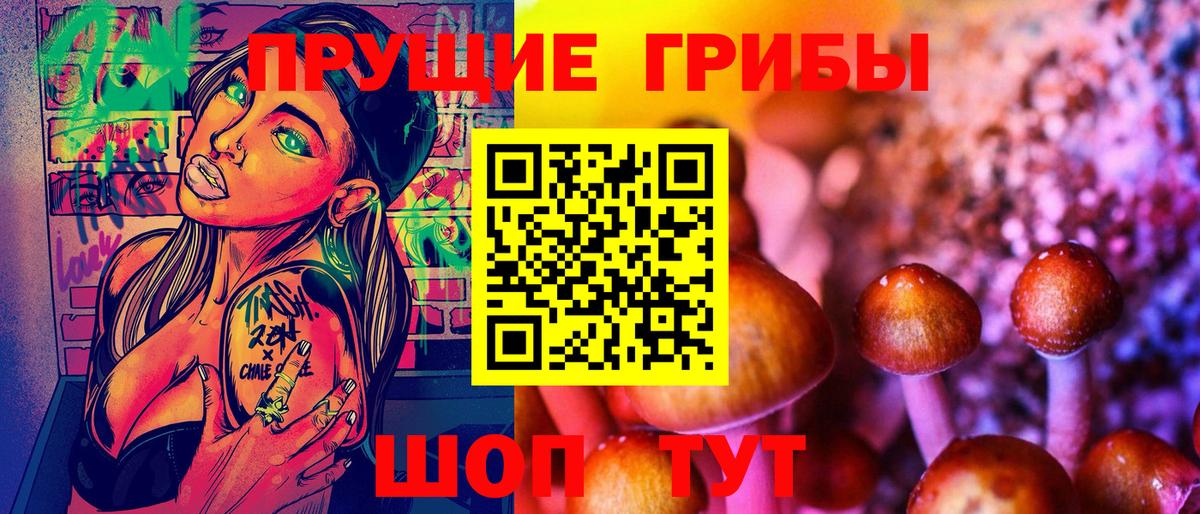 Псилоцибиновые грибы Psilocybe  где найти   Луга  Вход с VPN 